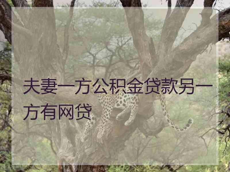 夫妻一方公积金贷款另一方有网贷