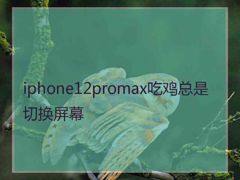 iphone12promax吃鸡总是切换屏幕