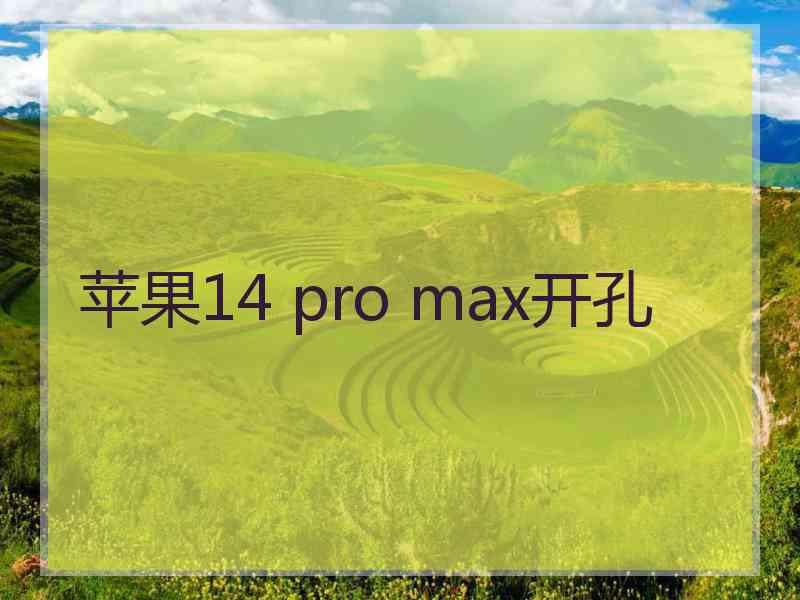 苹果14 pro max开孔