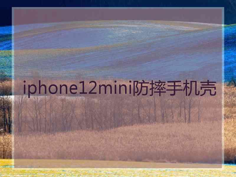 iphone12mini防摔手机壳