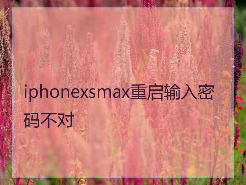 iphonexsmax重启输入密码不对