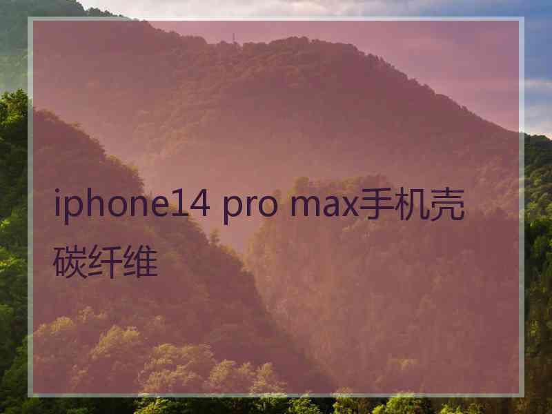 iphone14 pro max手机壳碳纤维