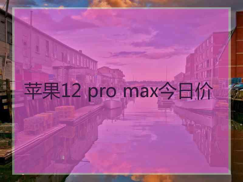 苹果12 pro max今日价