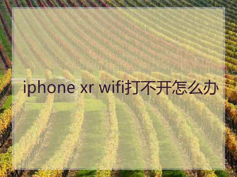 iphone xr wifi打不开怎么办