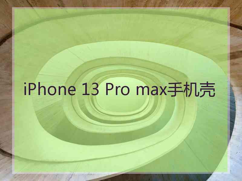 iPhone 13 Pro max手机壳