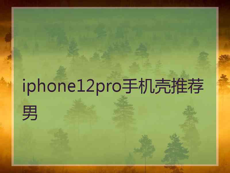 iphone12pro手机壳推荐男