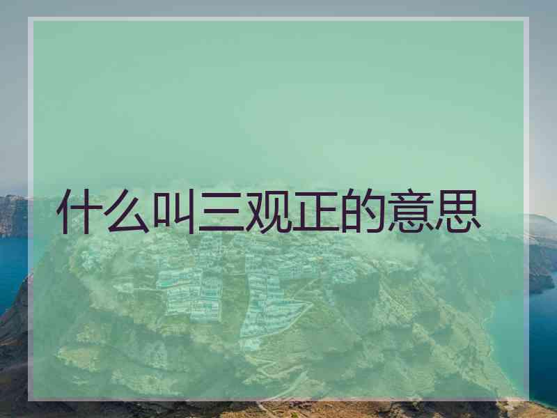 什么叫三观正的意思