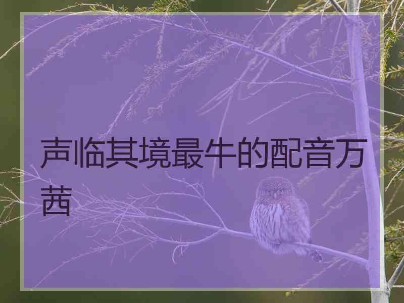 声临其境最牛的配音万茜