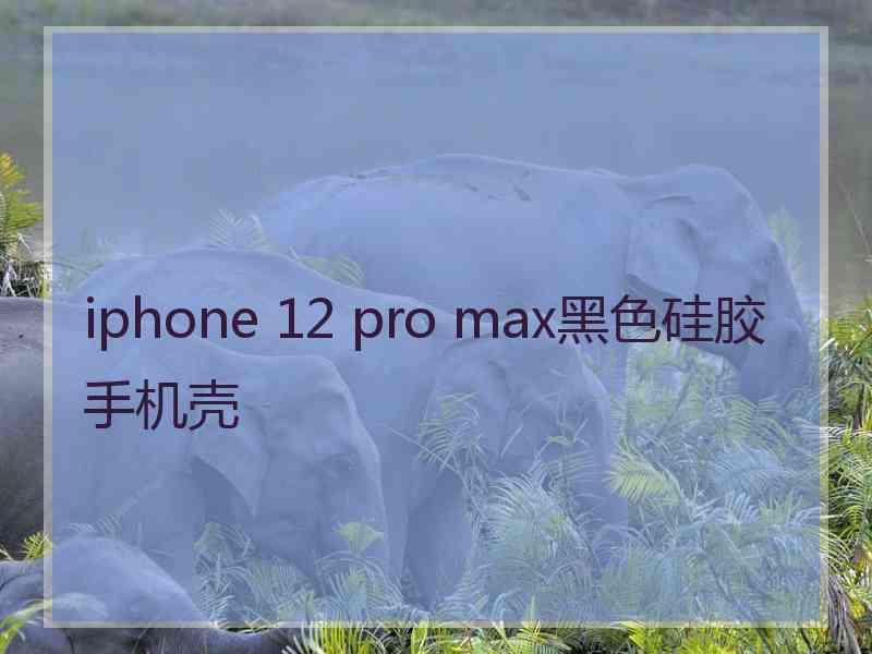 iphone 12 pro max黑色硅胶手机壳