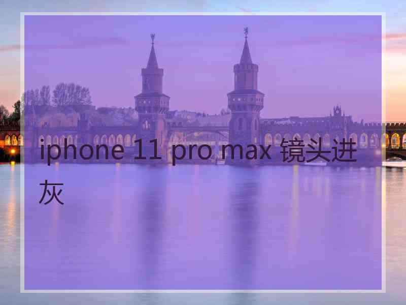 iphone 11 pro max 镜头进灰