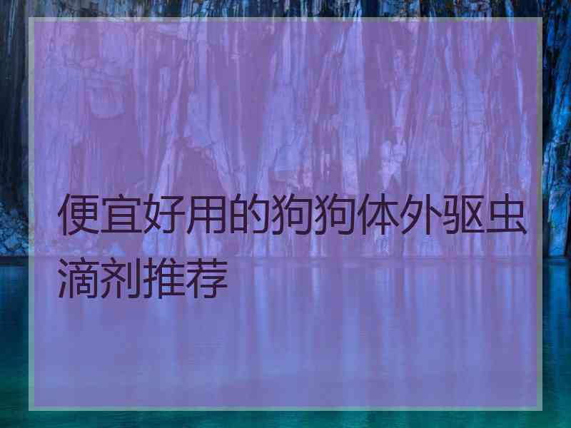 便宜好用的狗狗体外驱虫滴剂推荐