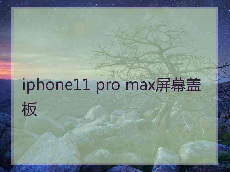 iphone11 pro max屏幕盖板