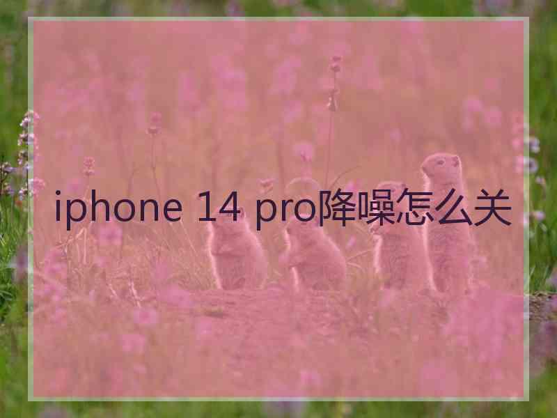 iphone 14 pro降噪怎么关