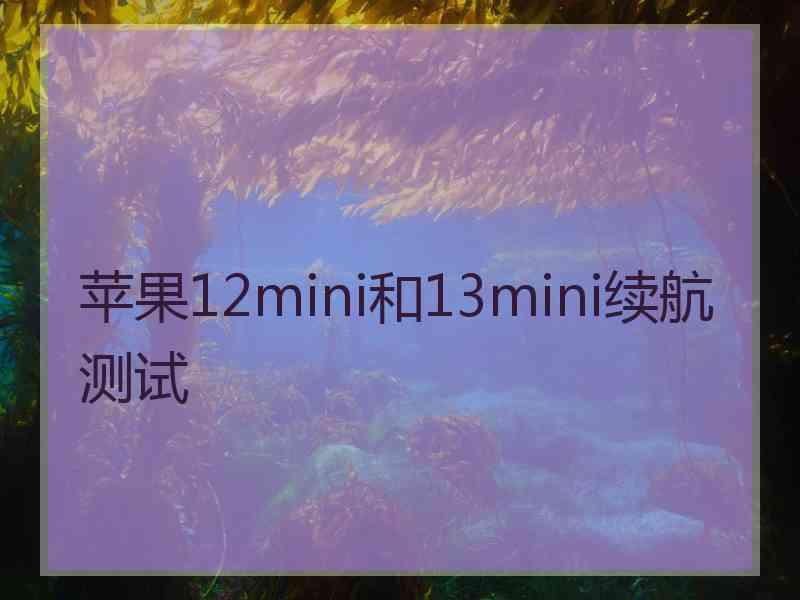 苹果12mini和13mini续航测试