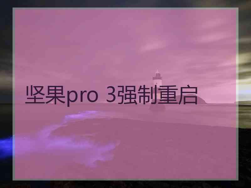 坚果pro 3强制重启