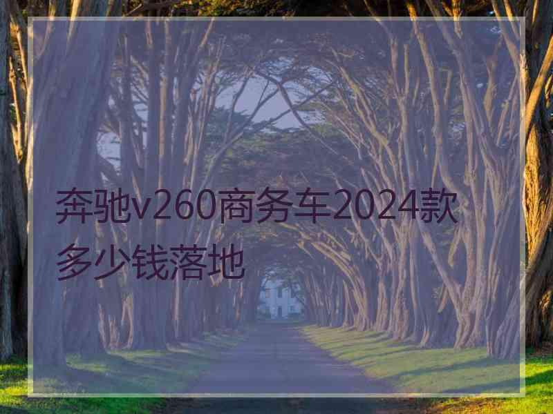 奔驰v260商务车2024款多少钱落地