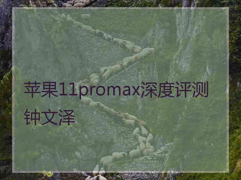 苹果11promax深度评测钟文泽