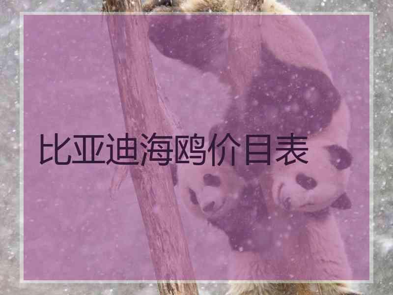 比亚迪海鸥价目表