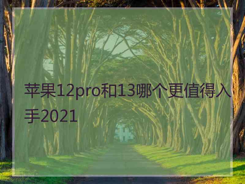 苹果12pro和13哪个更值得入手2021