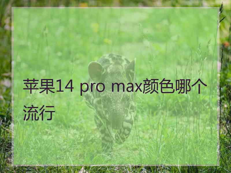 苹果14 pro max颜色哪个流行