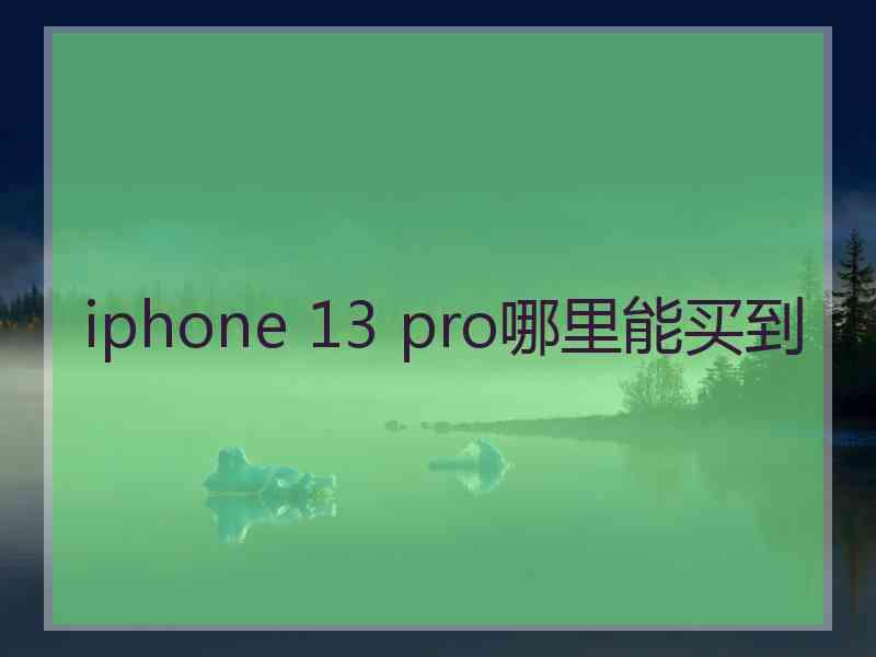 iphone 13 pro哪里能买到