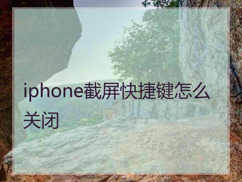 iphone截屏快捷键怎么关闭