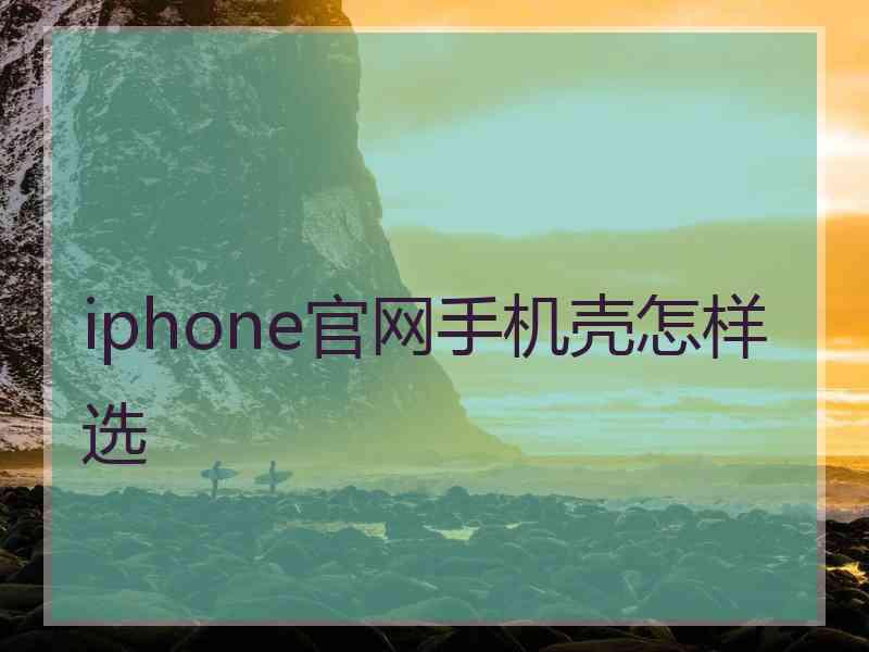 iphone官网手机壳怎样选