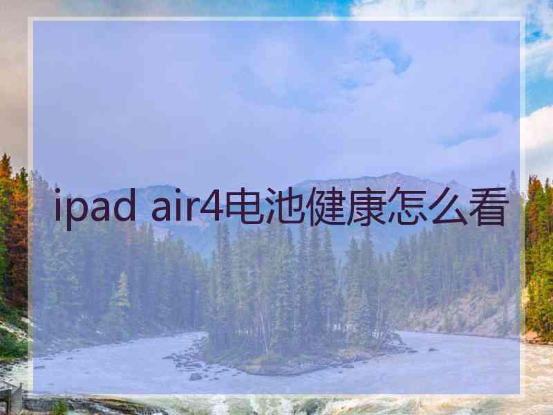 ipad air4电池健康怎么看