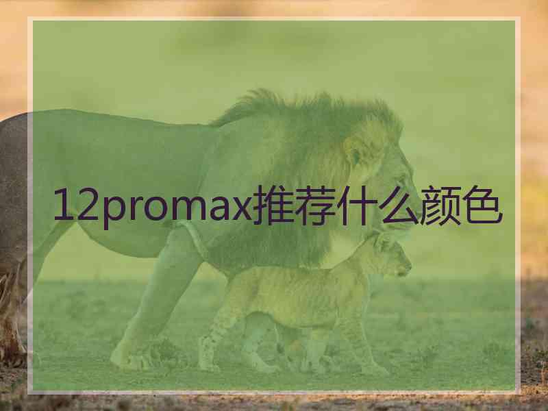 12promax推荐什么颜色