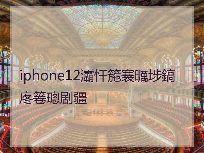 iphone12灞忓箷褰曞埗鎬庝箞璁剧疆