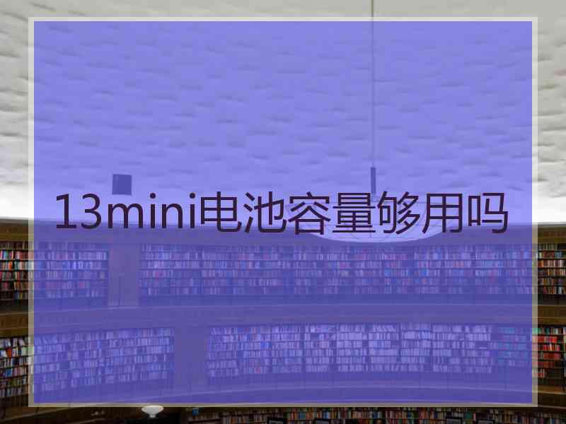 13mini电池容量够用吗