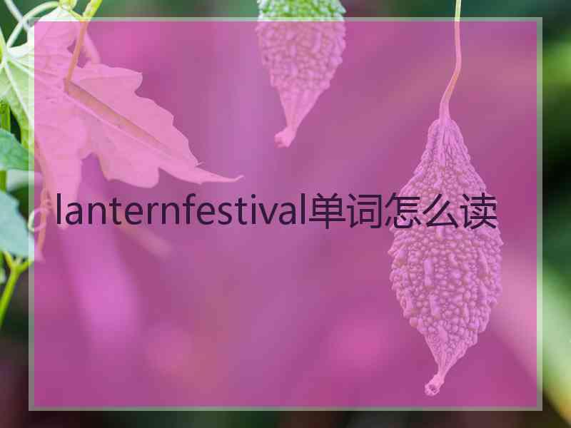 lanternfestival单词怎么读