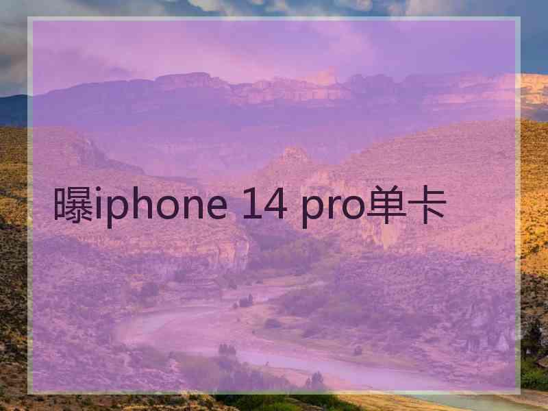 曝iphone 14 pro单卡