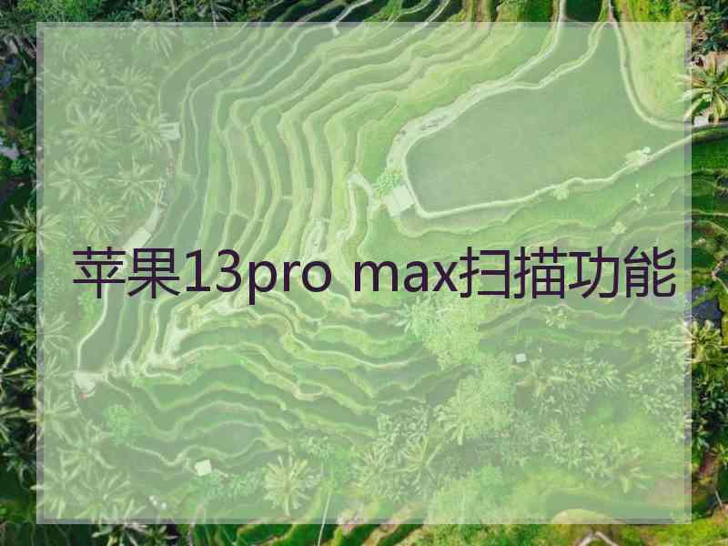 苹果13pro max扫描功能