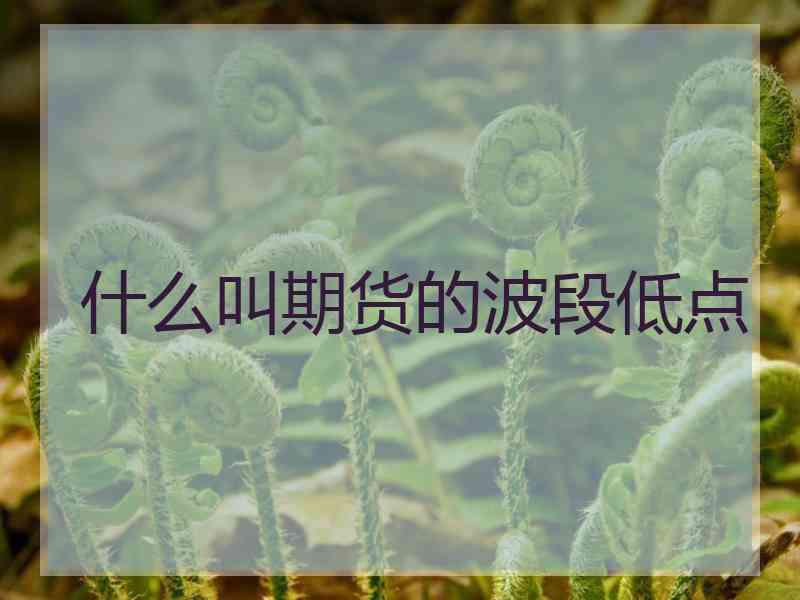 什么叫期货的波段低点