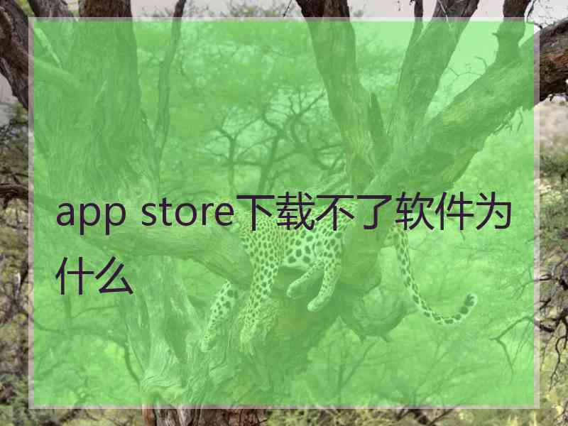 app store下载不了软件为什么