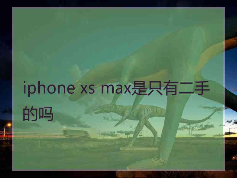 iphone xs max是只有二手的吗