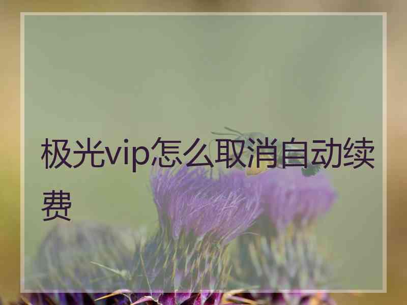 极光vip怎么取消自动续费