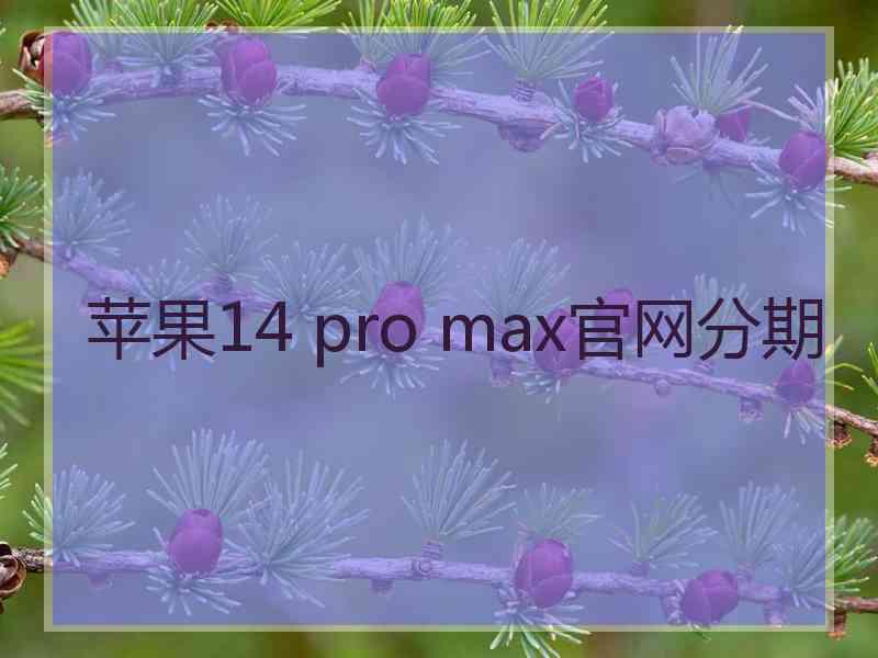 苹果14 pro max官网分期