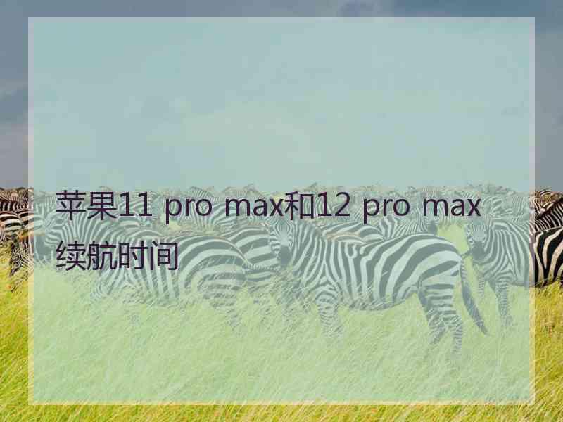 苹果11 pro max和12 pro max续航时间