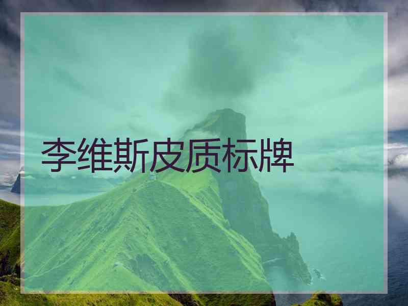 李维斯皮质标牌