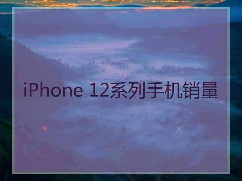 iPhone 12系列手机销量