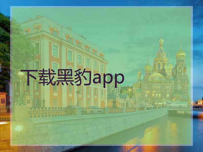 下载黑豹app