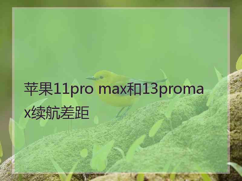 苹果11pro max和13promax续航差距