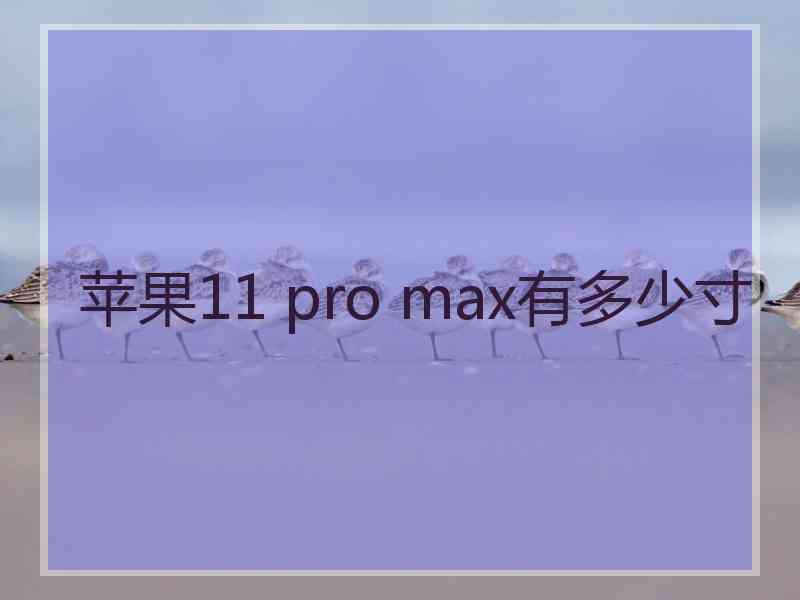 苹果11 pro max有多少寸