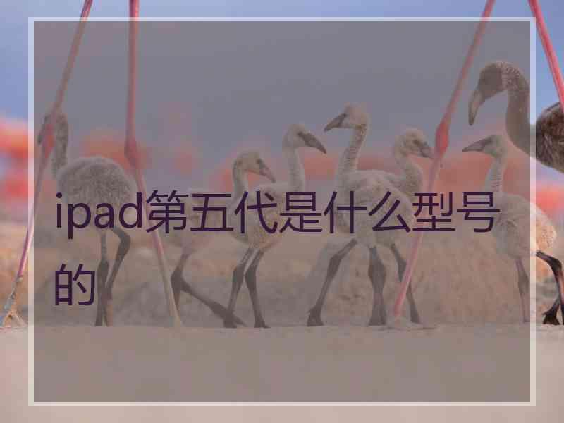 ipad第五代是什么型号的