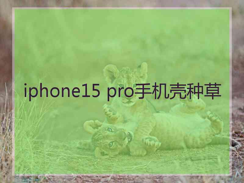 iphone15 pro手机壳种草