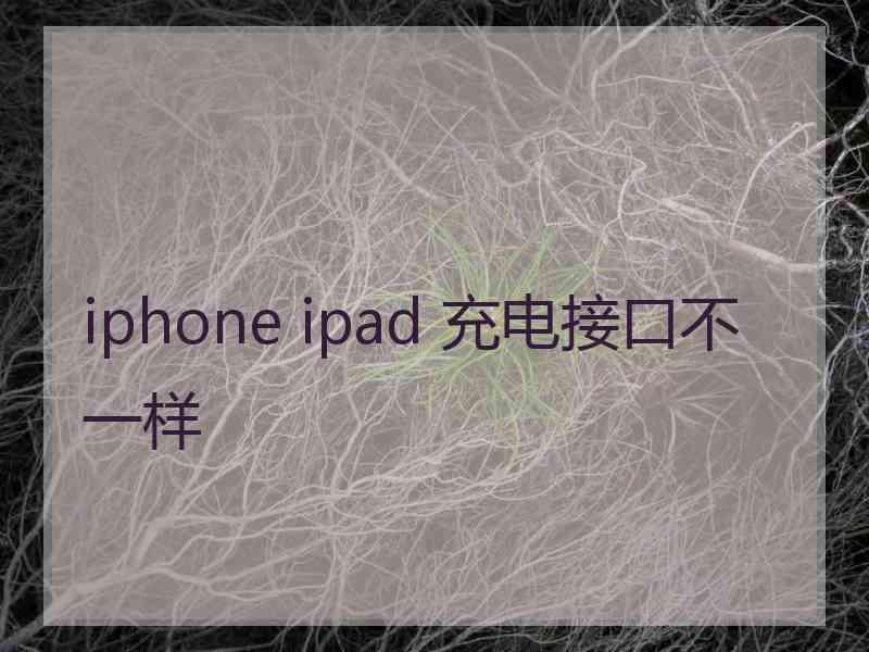 iphone ipad 充电接口不一样