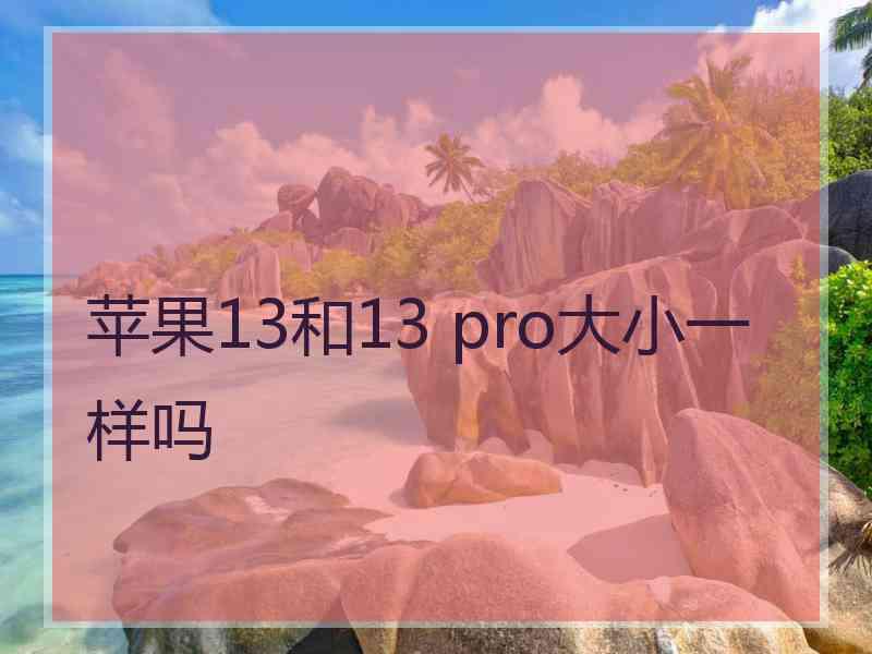 苹果13和13 pro大小一样吗