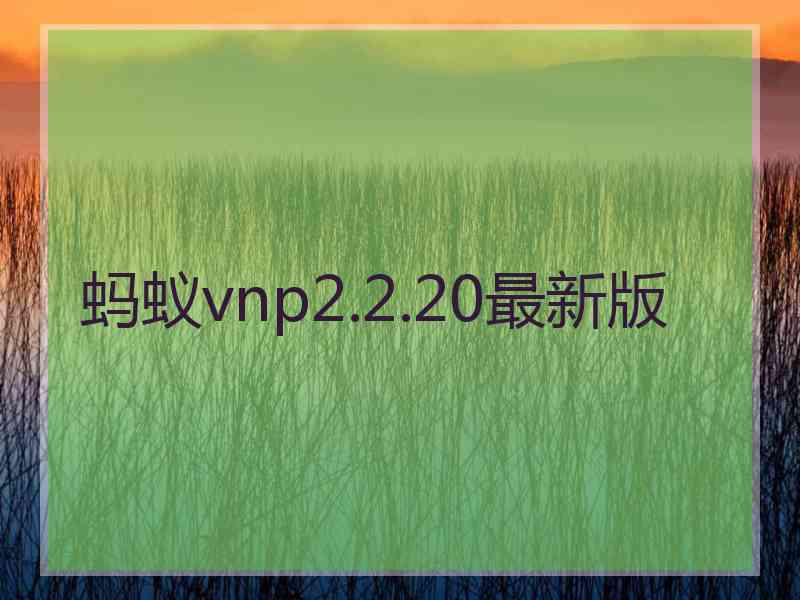 蚂蚁vnp2.2.20最新版